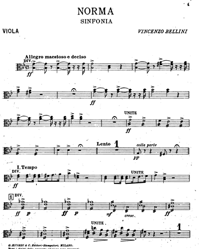 Viola