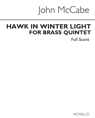 Hawk in Winter Light