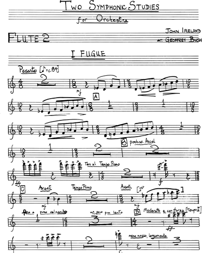 Flute 2