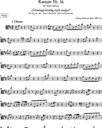 Kantate BWV 36 „Schwingt freudig euch empor“