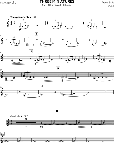 Clarinet in Bb 3