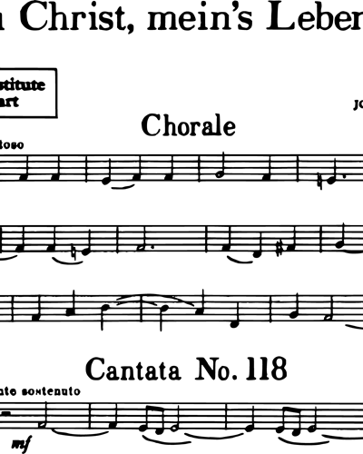 Trumpet in Bb 5 (Horn Alternative)