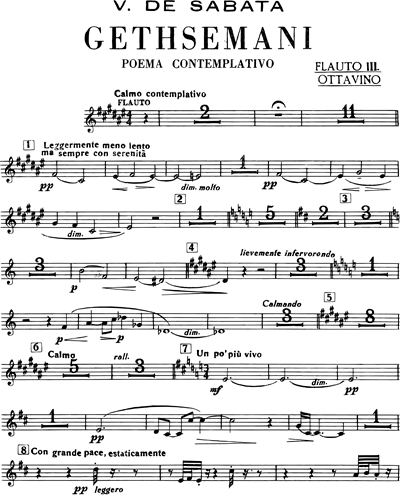 Flute 3/Piccolo