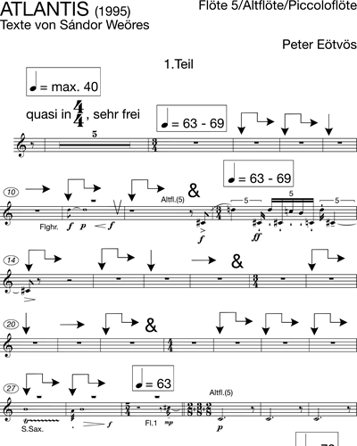 Flute 5/Piccolo/Alto Flute