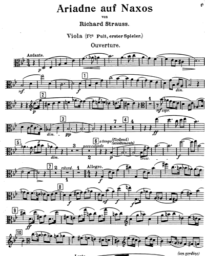 Viola Desk 1:1