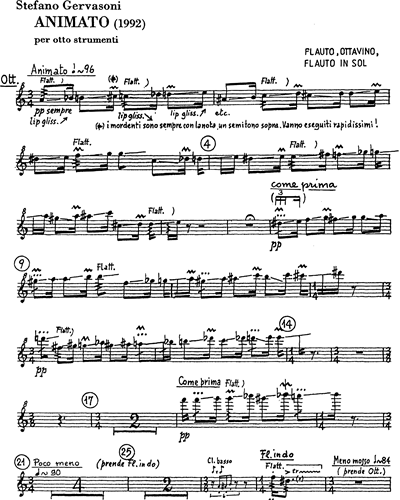 Flute/Piccolo/Alto Flute