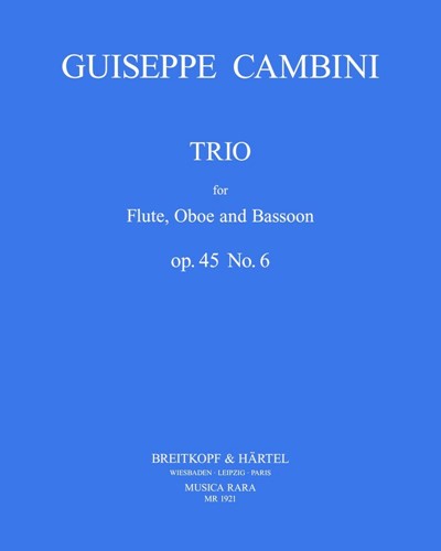 Trio Nr. 6 op. 45