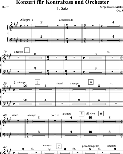 Konzert für Kontrabass und Orchester Op. 3