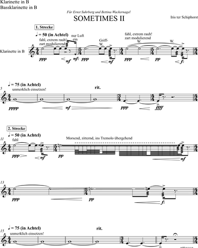 Clarinet in Bb/Bass Clarinet in Bb