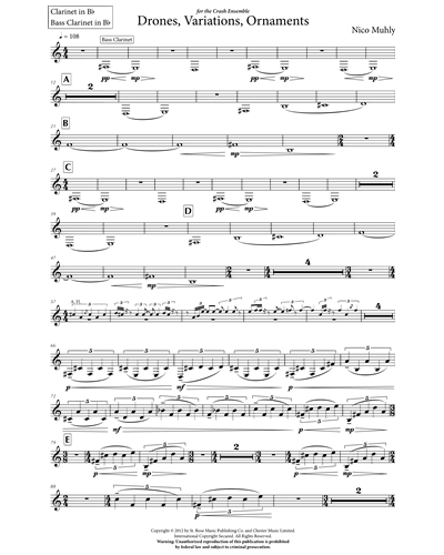Clarinet/Bass Clarinet