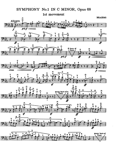Double Bass Excerpts