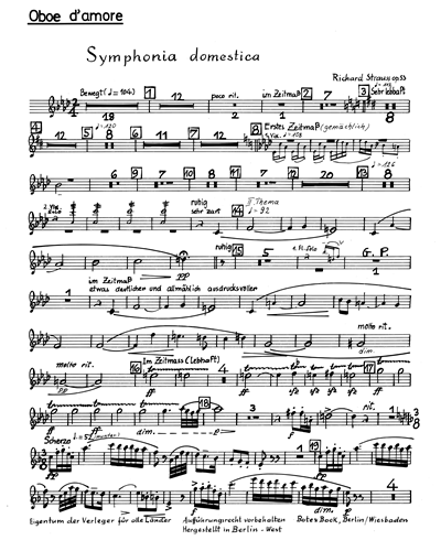 Symphonia Domestica, op. 53