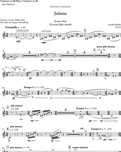 Clarinet in Bb/Bass Clarinet/Maracas