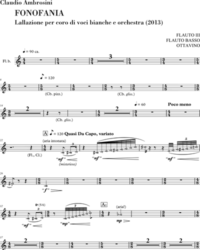 Flute 3/Bass Flute/Piccolo