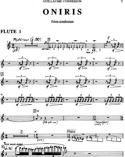 Flute 1