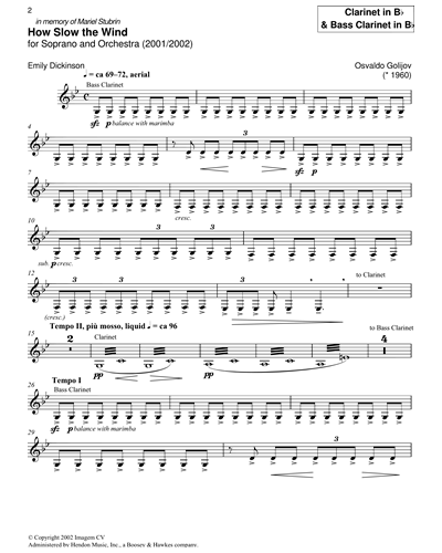 Bass Clarinet in Bb/Clarinet in Bb