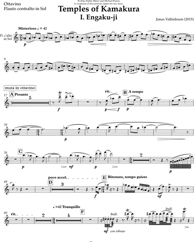 Piccolo/Alto Flute in G