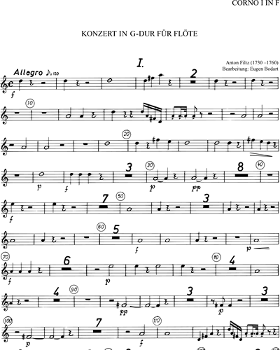 Konzert in G-dur für flöte