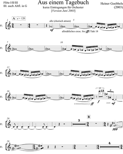 Flute 1/Piccolo & Flute 2 & Flute 3/Alto Flute