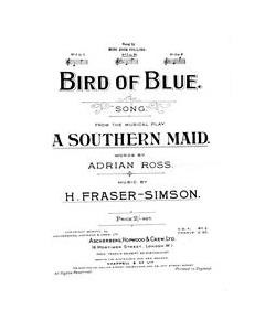 Bird Of Blue