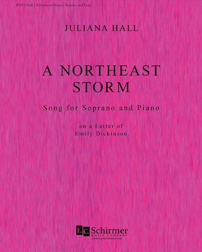 A Northeast Storm