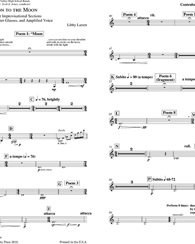 Contrabass Clarinet