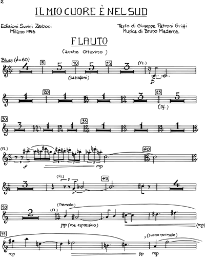 Flute/Piccolo