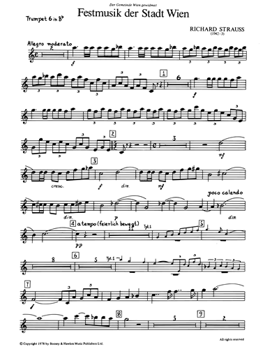 Trumpet in Bb 6