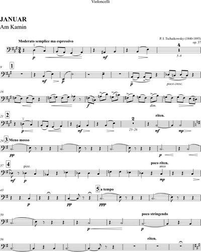 Die Jahreszeiten Op. 37 (Orchesterfassung)