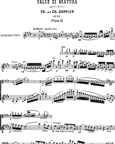 Flute 2