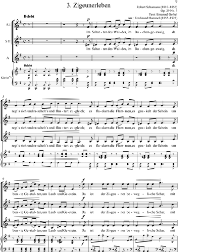 Zigeunerleben Op.29, No.3 (from 'Reine Frauensache!')