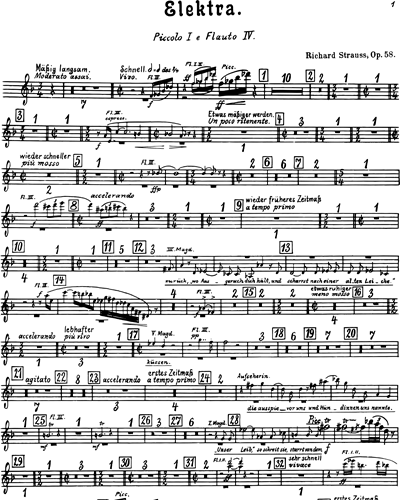 Piccolo 1/Flute 4