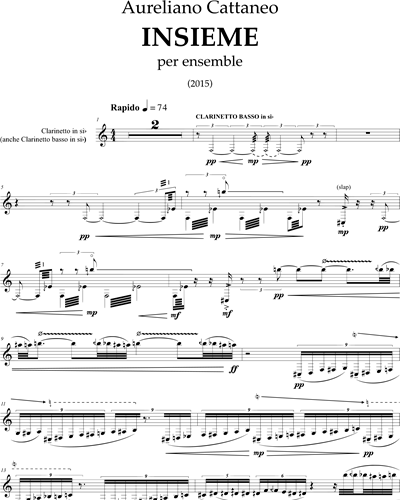 Clarinet in Bb/Bass Clarinet