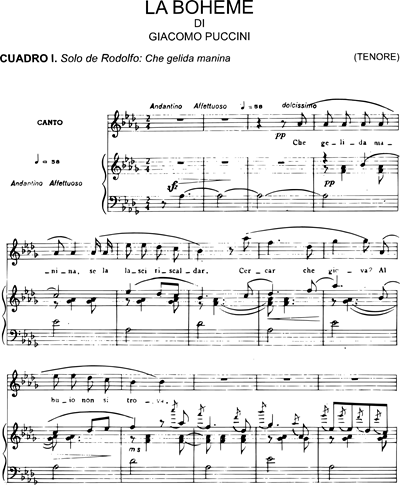Che gelida manina (from the opera "La Boheme")