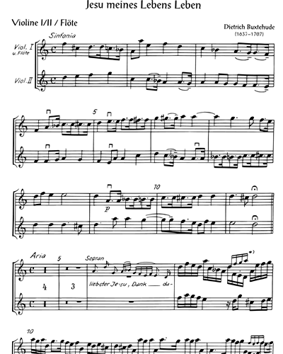 Violin 1 & Violin 2 & Flute (Alternative)