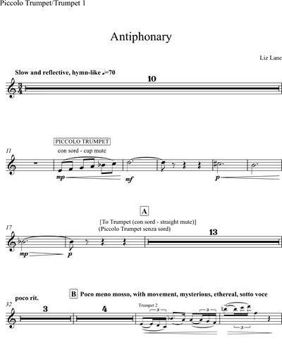 Piccolo Trumpet in Bb/Trumpet in Bb 1