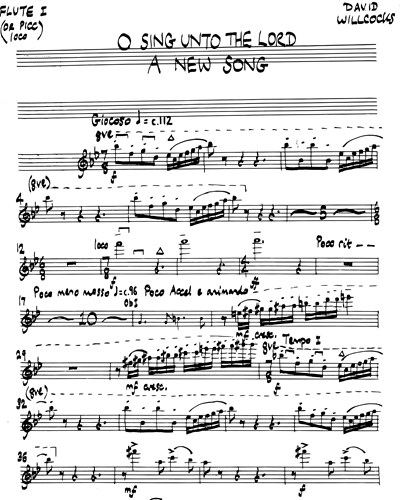 Flute 1/Piccolo 1 (Optional)