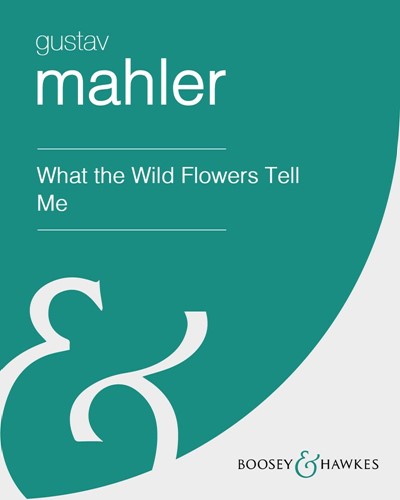 What the Wild Flowers Tell Me