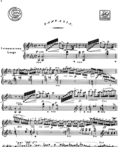 Fantasia con variazioni Op. 48