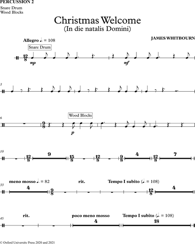 Percussion 2