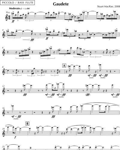 Piccolo/Bass Flute