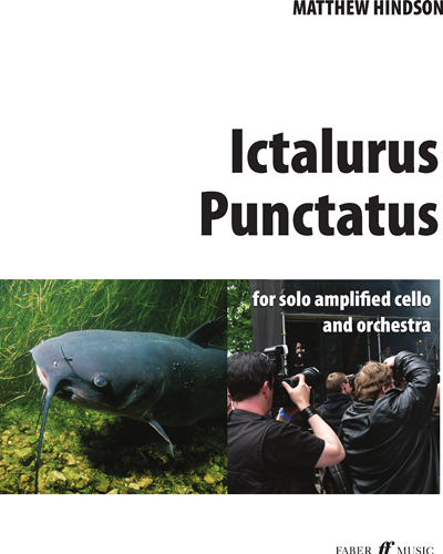 Ictalurus Punctatus