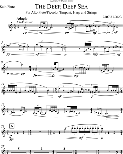 [Solo] Alto Flute/Piccolo