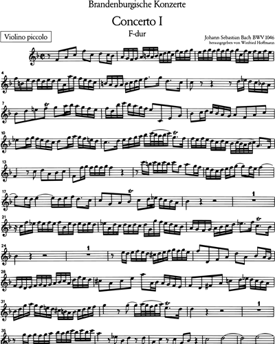 [Solo] Piccolo Violin