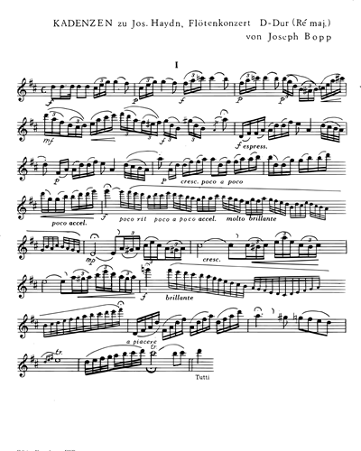 Kadenzen zu Haydns Flötenkonzert D-Dur