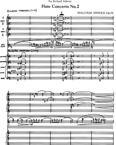 Flute Concerto No. 2