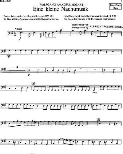 Eine Kleine Nachtmusik K 525 (1st Movement) Arranged for Recorder Groups with Percussion Instruments