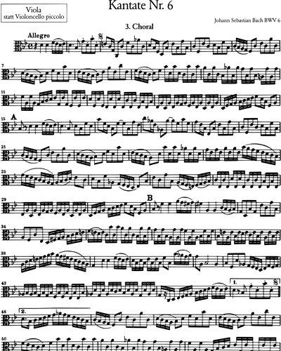 Violoncello Piccolo/Viola (Alternative)