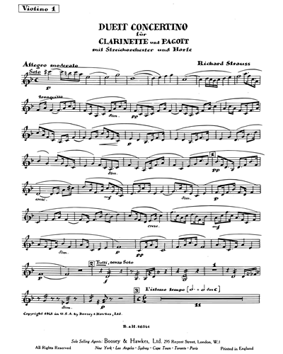 Duet-Concertino for Clarinet and Bassoon