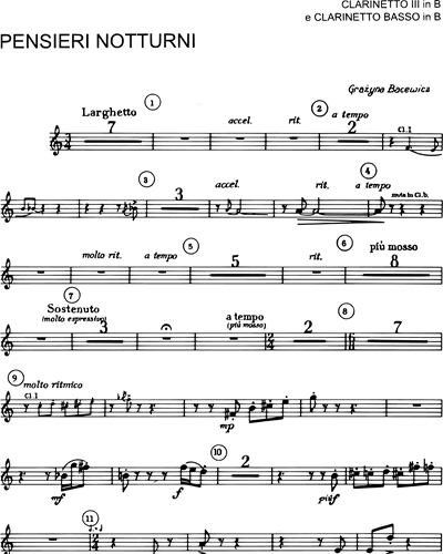 Clarinet in Bb 3/Bass Clarinet